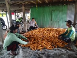 Bhabinkamtibmas Desa Panyangkalang Sambangi Petani Jagung, Dukung Program Ketahanan Pangan