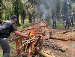 Satres Narkoba Polres Binjai Kembali Grebek Dan Musnahkan Barak Narkoba Di Kecamatan Selesai