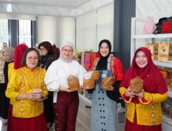 Ketua Dekranasda Kota Binjai Terima Audiensi APPMI, Bahas Peluang Kolaborasi Industri Kreatif