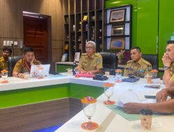 Sekda Binjai Ikuti Raker Komisi II DPR RI Bahas Penataan PPPK dan Relaksasi Belanja Pegawai Daerah