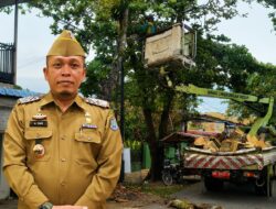 DLH Binjai Bantah Isu Permintaan Dana Rp900 Ribu untuk Penebangan Pohon