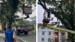 Cuaca Ekstrem Mengancam, DLH Binjai Turunkan Satgas Mitigasi Pohon ke Lapangan Merdeka