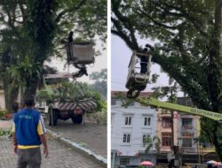Cuaca Ekstrem Mengancam, DLH Binjai Turunkan Satgas Mitigasi Pohon ke Lapangan Merdeka