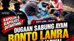 Kapolda & Kapolres Ditantang! Dugaan Sabung Ayam Bonto Lanra Digelar Terjadwal, Diancam Preman, Hukum Tak Boleh Kalah oleh Uang!