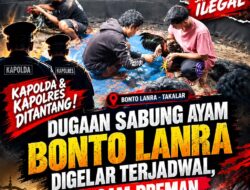 Kapolda & Kapolres Ditantang! Dugaan Sabung Ayam Bonto Lanra Digelar Terjadwal, Diancam Preman, Hukum Tak Boleh Kalah oleh Uang!