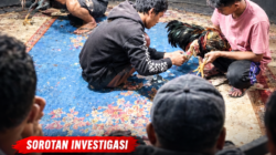 Dugaan Praktik Perjudian Sabung Ayam Ilegal Marak di Bontonlanra Takalar: Panitia “Dg. Ngasa & Dg. Bantang” Disorot, Isu Setoran Sewa 30 Juta & Bekingan Oknum Menguat